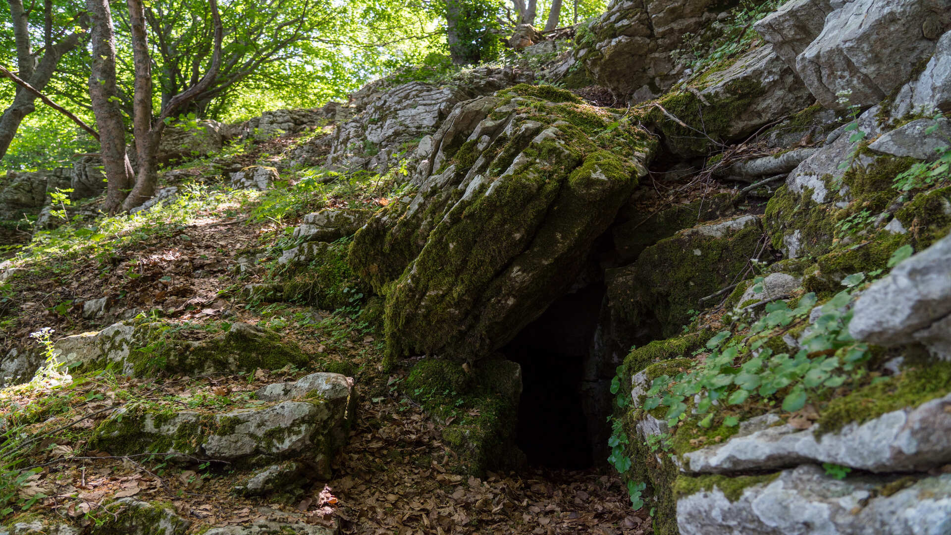 Grotta del Diavolo Capracotta